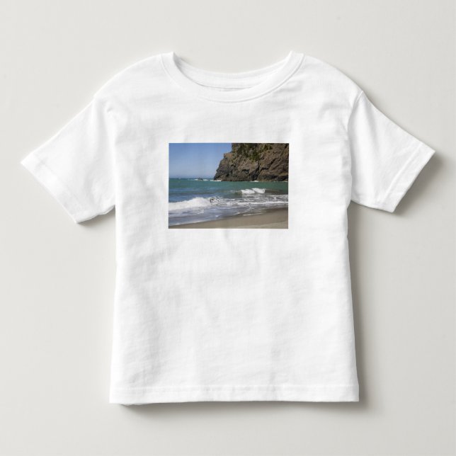 OR, Oregon-kusten, Whaleshead Beach, Söder T-shirt (Framsida)