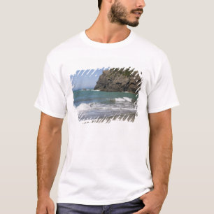 OR, Oregon-kusten, Whaleshead Beach, Söder Tröja