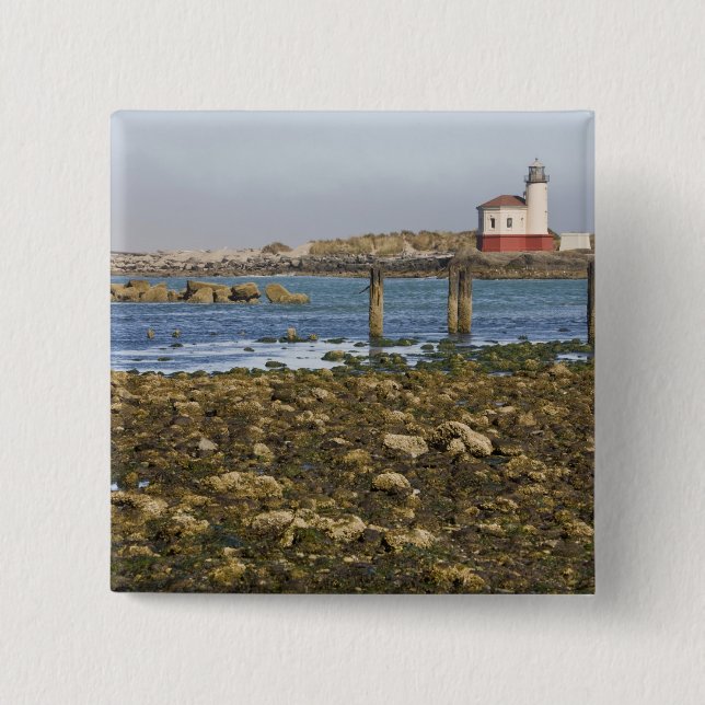 OR, Oregonkusten, Bandon, Coquillefloden Knapp (Framsida)