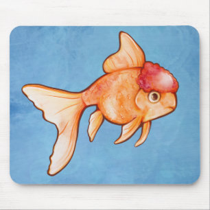 Oranda Goldfish Musmatta