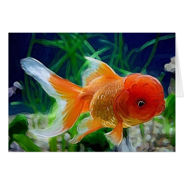 Oranda guldfisk hälsningskort (Framsidan Horizontal)
