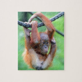 Orang Utan 029 Pussel