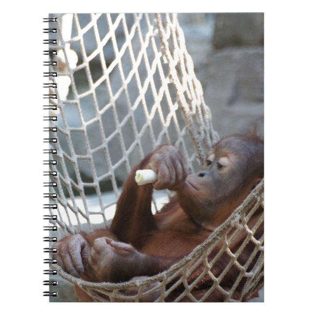 Orang-Utan Anteckningsbok (Framsidan)
