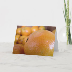 ORANGAR 2 KORT