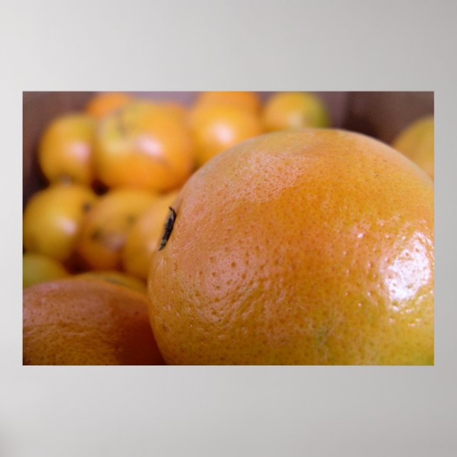 ORANGAR 2 POSTER (Framsidan)