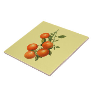 Orangar ~ Botaniskt fält ~ Köks ~ valfritt Färg ~ Kakelplatta