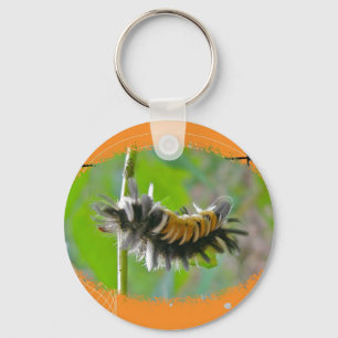 Orangar i Milkweed Tussock Moth Caterpelare Nyckelring
