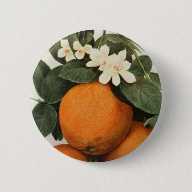 ORANGAR knäppas Knapp (Framsida)