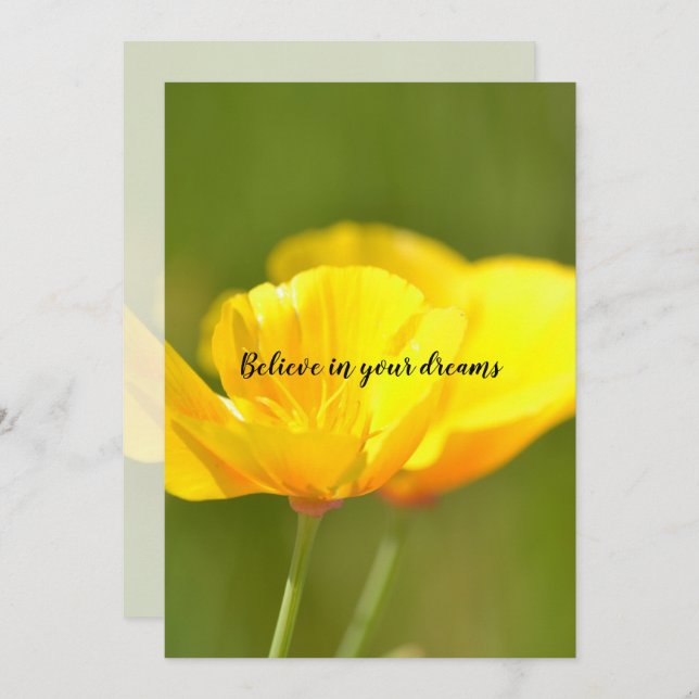 Orangar Kort (Fram/baksida)