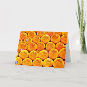 Orangar Kort