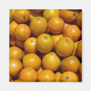 Orangar Magnet