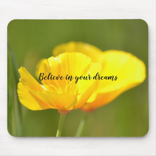 Orangar Musmatta (Framsidan)