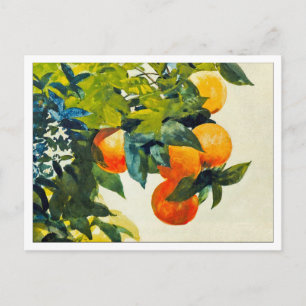 Orangar på Gren av Winslow Homer Vykort