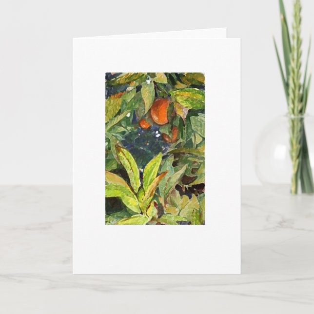 Orangar på träd ritar den torra förhöjda extra kort (Framsida)