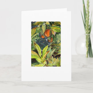 Orangar på träd ritar den torra förhöjda extra kort