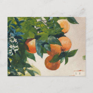 Orangar vid Gren Winslow Homer Vykort