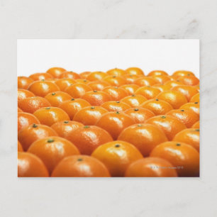 Orangar Vykort