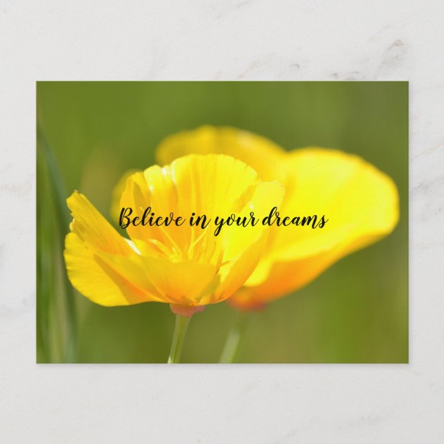 Orangar Vykort (Framsida)