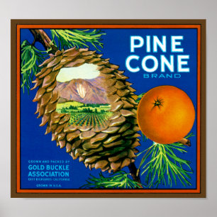 Orangarna Gräs Cone Poster