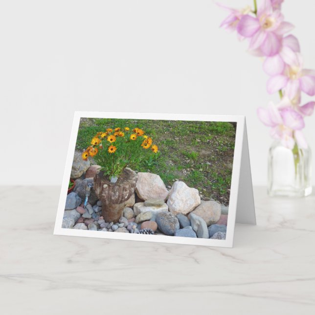 Orange African Daisys Porträtt Card Kort (Orkide)