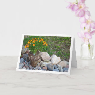 Orange African Daisys Porträtt Card Kort