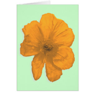 Orange Aid/PopArt Flower Hälsningskort