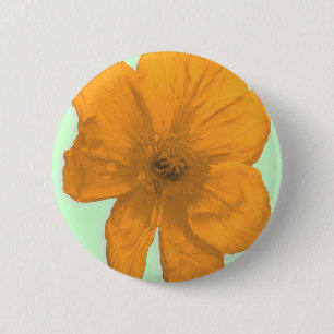 Orange Aid/PopArt Flower Knapp