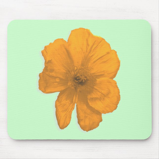 Orange Aid/PopArt Flower Musmatta (Framsidan)
