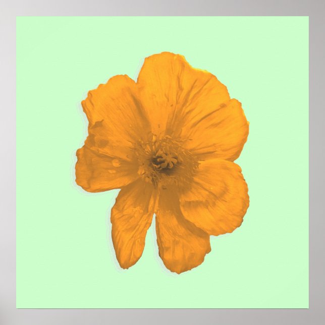 Orange Aid/PopArt Flower Poster (Framsidan)