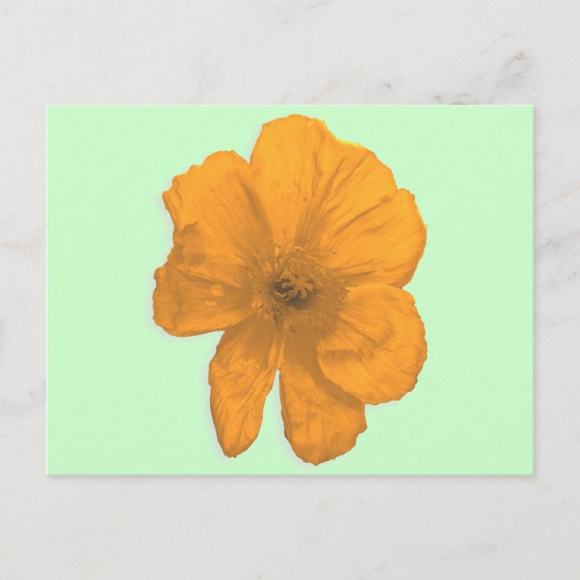 Orange Aid/PopArt Flower Vykort (Framsida)