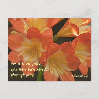 Orange Amaryllis Vykort