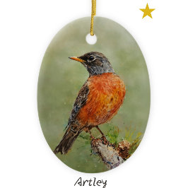 Orange American Robin Bird Painting Årlig jul Julgransprydnad Keramik