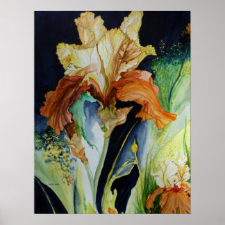 Orange and Yellow Iris Print Poster
