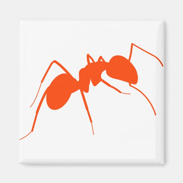 Orange Ant Magnet (Framsidan)