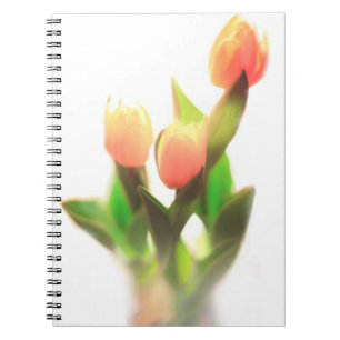 Orange Anteckningsbok Med Spiral