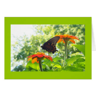 Orange är Min Lycklig Färg OBS Kort