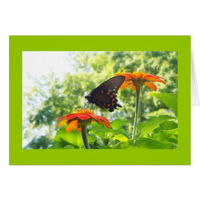 Orange är Min Lycklig Färg OBS Kort (Framsidan Horizontal)