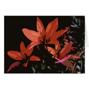 Orange asiatisk lilja OBS kort