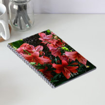Orange asiatiska liljor blommig