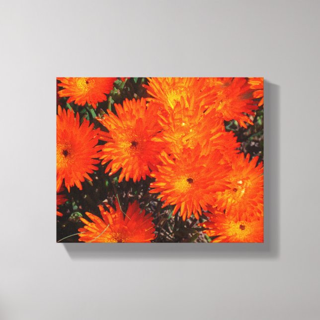 Orange av Grönt i sydlig Afrika Succulents Flowers Canvastryck (Framsida)