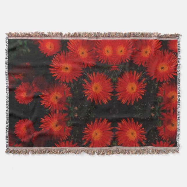 Orange av Grönt i sydlig Afrika Succulents Flowers Filt (Framsidan)