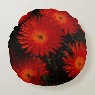 Orange av Grönt i sydlig Afrika Succulents Flowers Rund Kudde