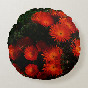 Orange av Grönt i sydlig Afrika Succulents Flowers Rund Kudde