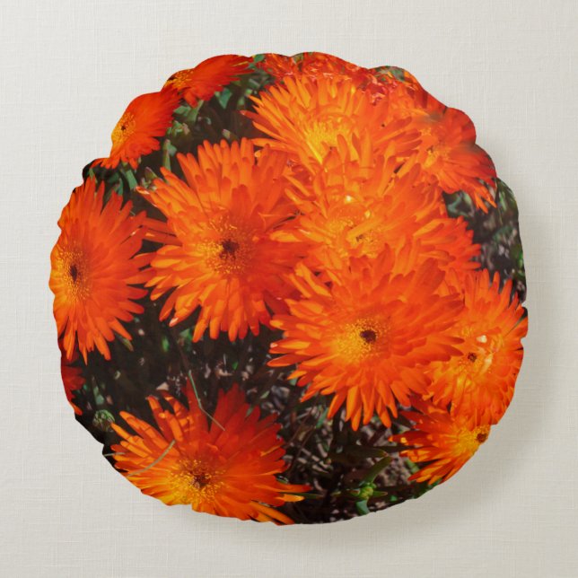 Orange av Grönt i sydlig Afrika Succulents Flowers Rund Kudde (Framsidan)
