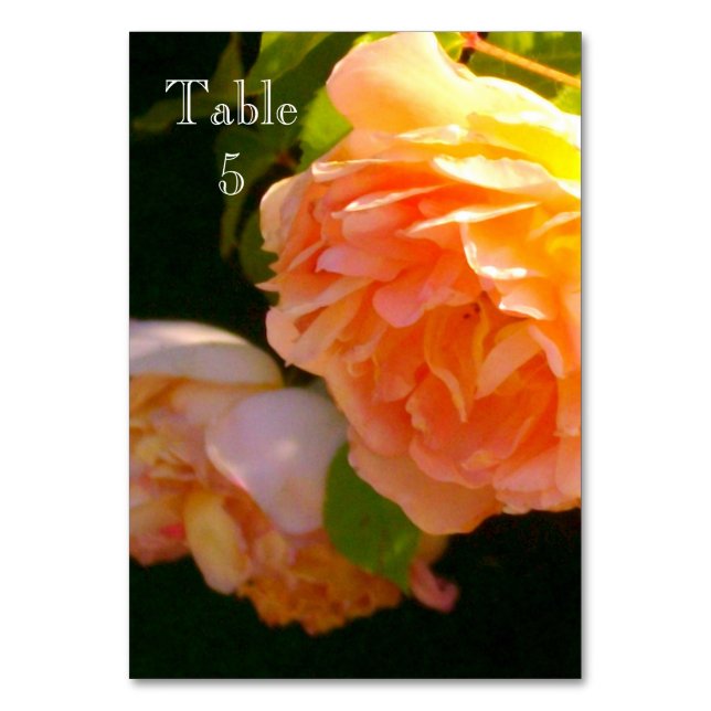 Orange av klassisk elegant, persilja Ro Bordsnummer (Framsidan)