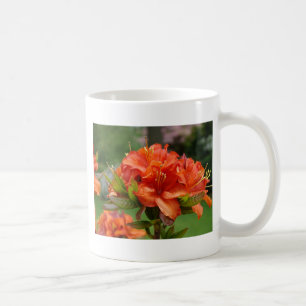 Orange AZALEA-blommor 14 Azaleor Kort Gåvor Muggar