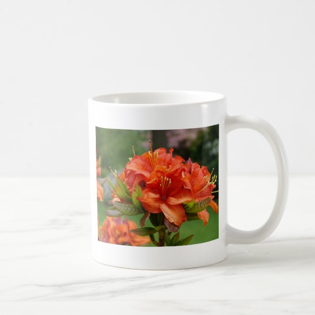 Orange AZALEA-blommor 14 Azaleor Kort Gåvor Muggar (Höger)
