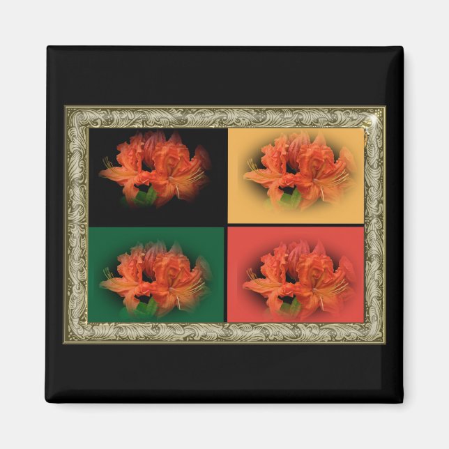 Orange Azaleas Magnet (Framsidan)