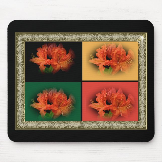 Orange Azaleas Musmatta (Framsidan)