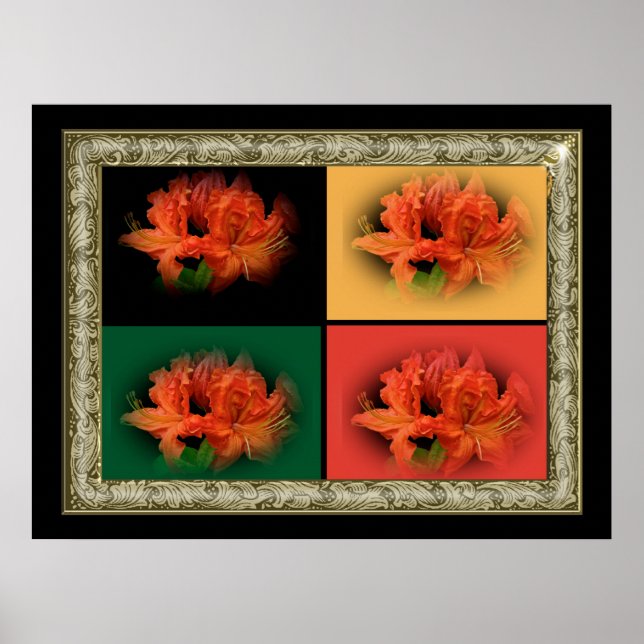 Orange Azaleas Poster (Framsidan)